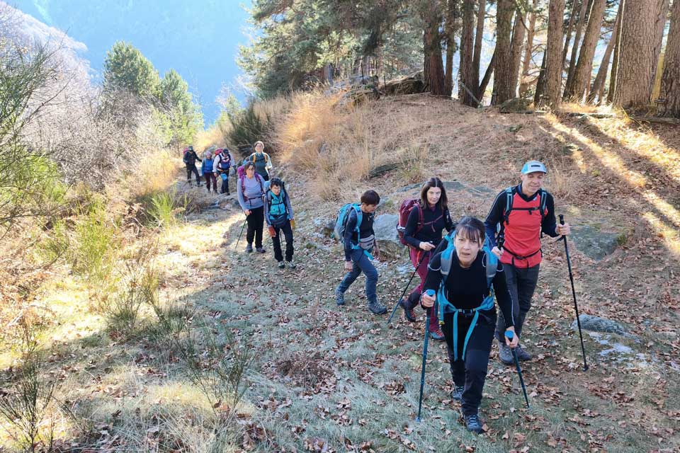 bosco val verzasca bardughè