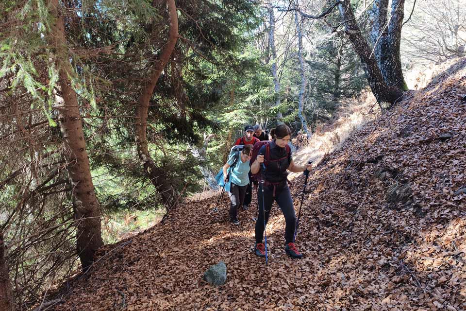 Escursione al Sasso Guida, salendo nel bosco