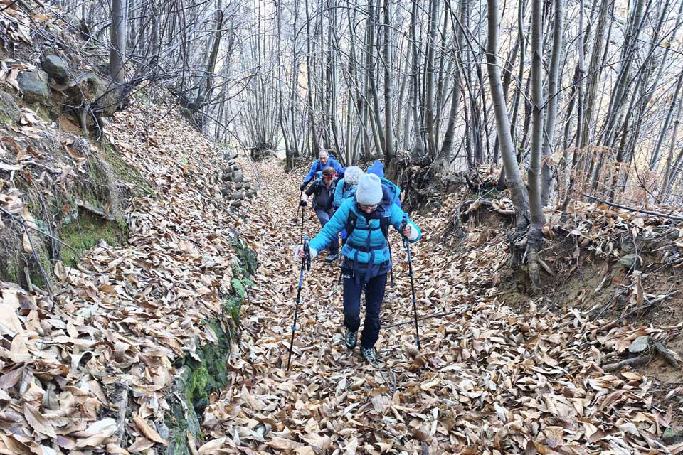 Escursione al Monte Pracaban, nel bosco