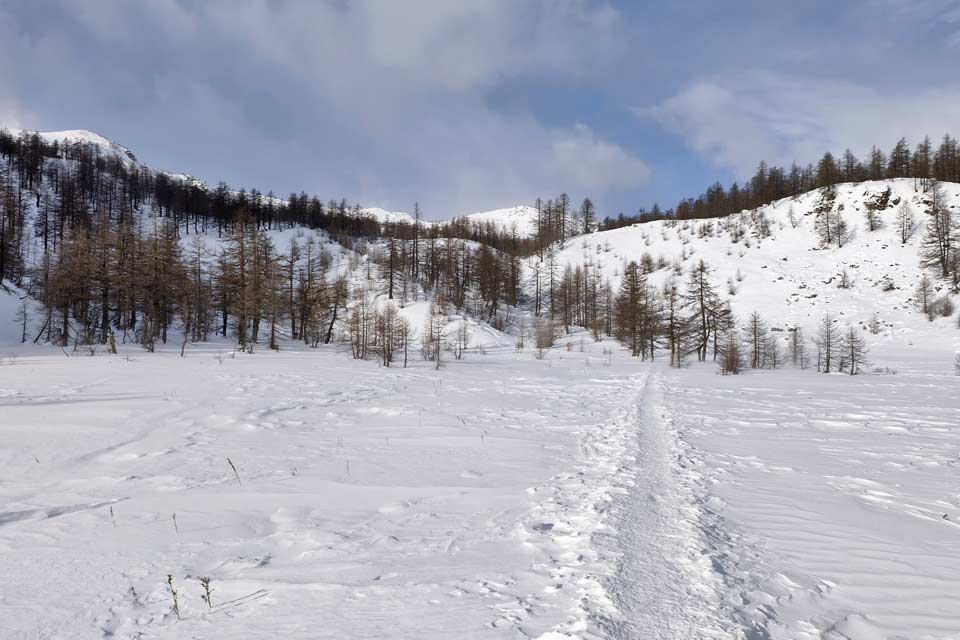 Pendii tranquilli val bognanco