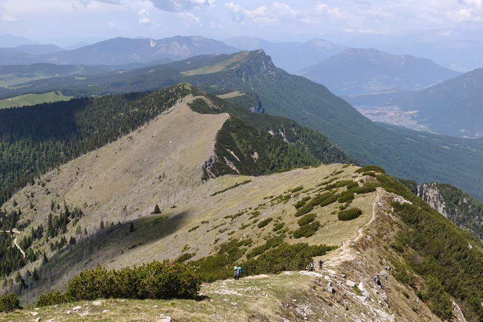 Asiago cresta portule