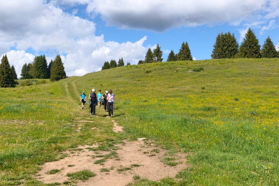 Asiago trekking prateria e boschi