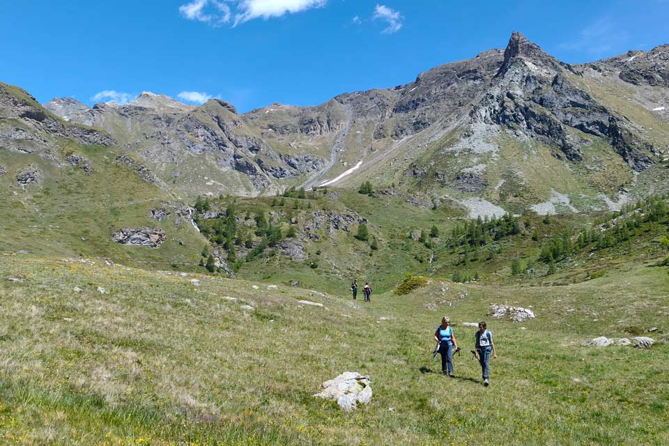 Vallone Chamois