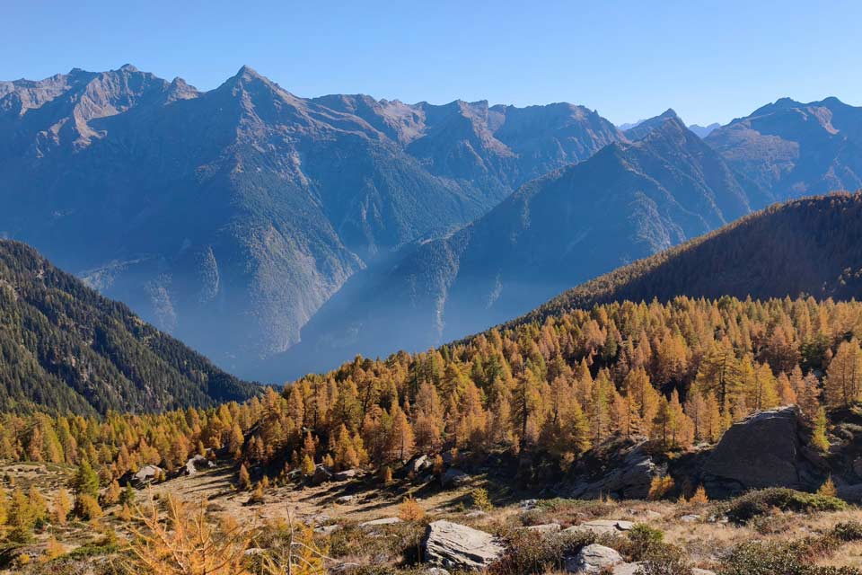 colori autunnali