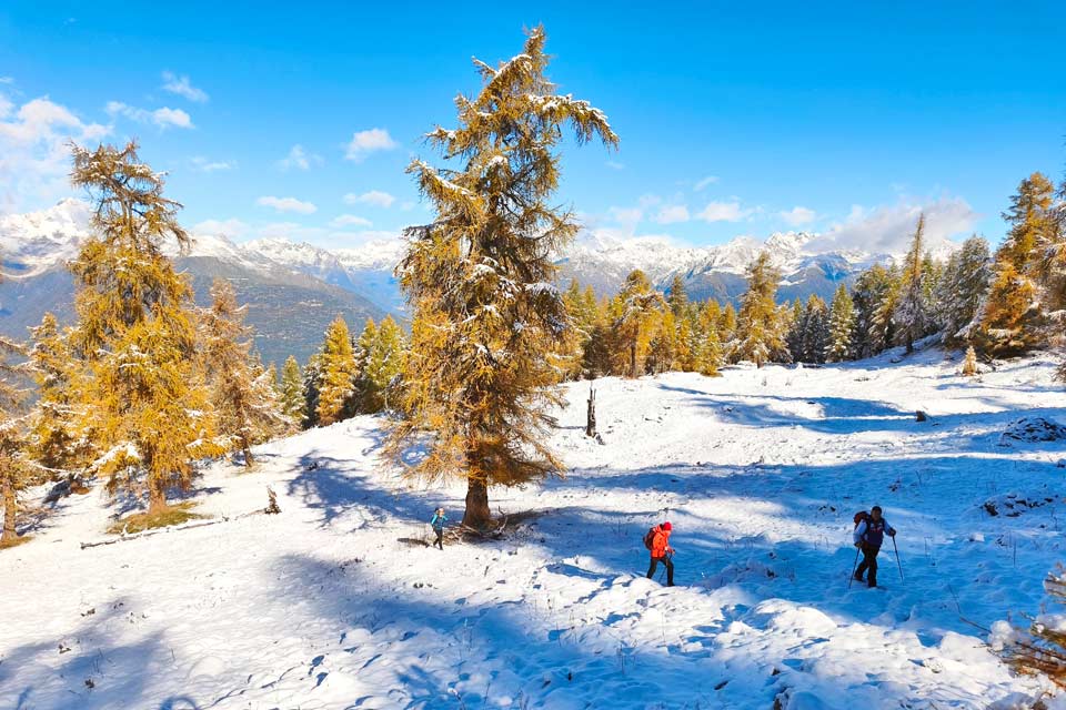 Colori autunnali e neve sulle Orobie Valtellinesi
