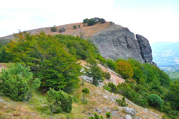 Groppo di gora