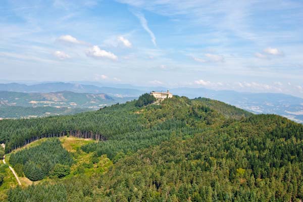 05 ViaDei Senario