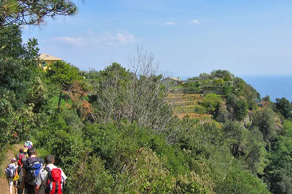 Coltivi nei pressi di Portofino