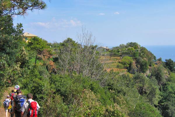 verso portofino