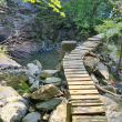 La passarella sul torrente