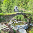 Nel tratto iniziale del torrente