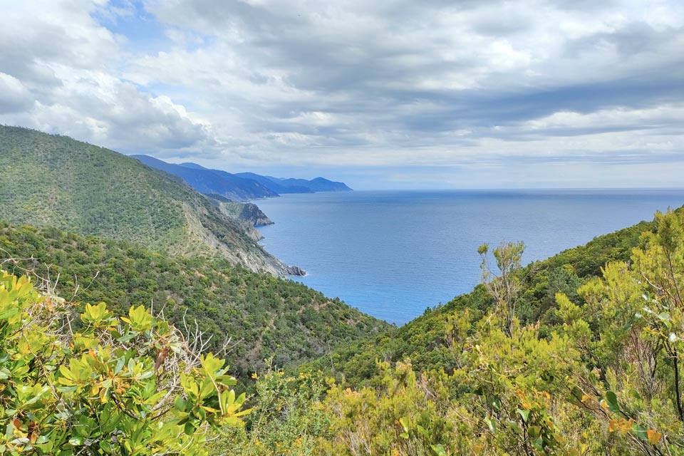 Scogliera punta baffe