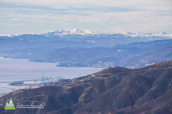 Panorama forti