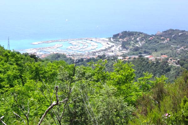 Varazze Forche mare2