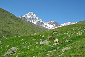 confinale Gran Zebrù