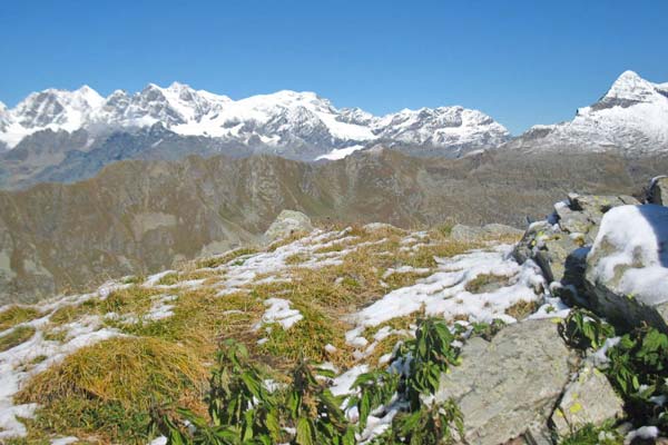 panorama