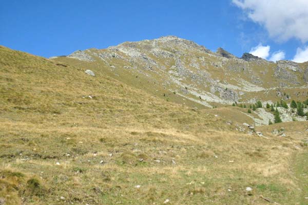 Ambiente alpestre
