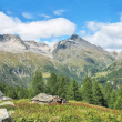 Alpeggi