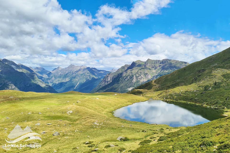 Laghi del Cardeto