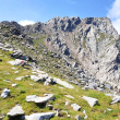 la parte finale della cima