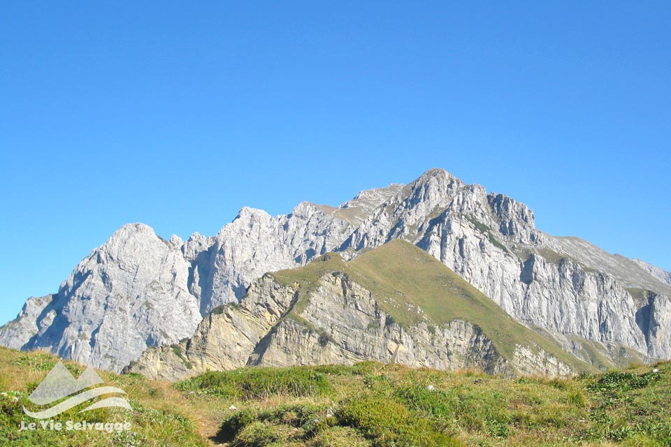 Grignone traversata alta e bassa