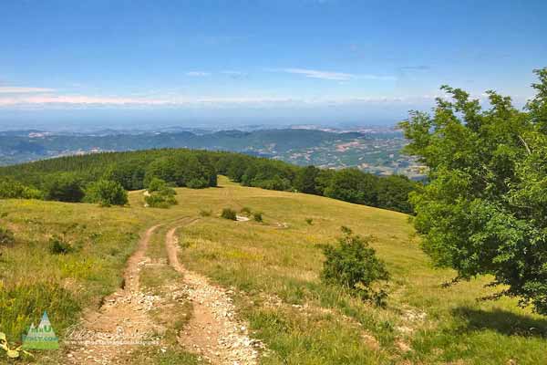 Crinale Monte Boglelio