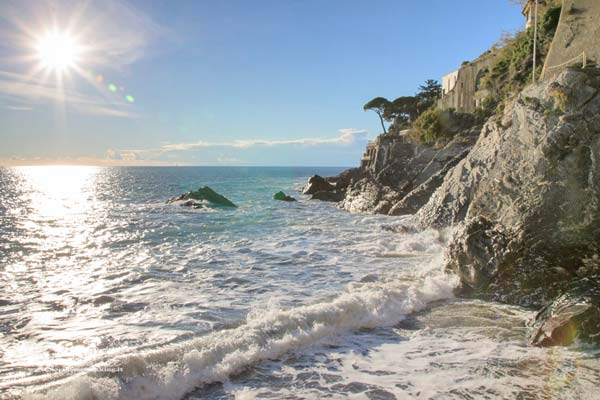 mare bogliasco