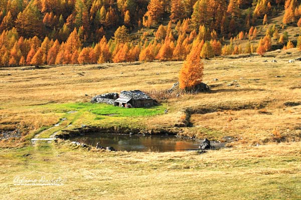 Alpeggi