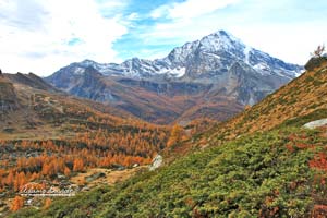 Alpe Veglia