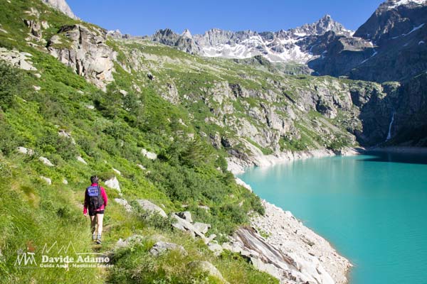 lago teleccio