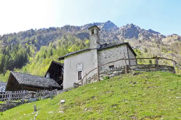 Alpe Oro Alpe Oro