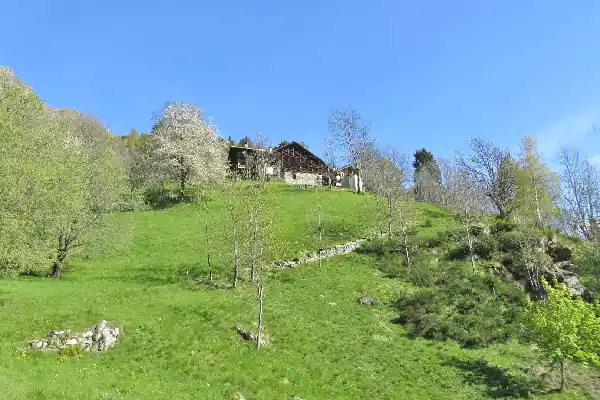 Abitato di Selveglio Selveglio