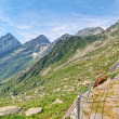 Il panorama dal Rifugio