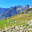 La bellissima valle che percorreremo
