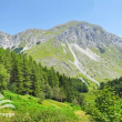 La Pania della Croce vista dal Rifugio de Freo