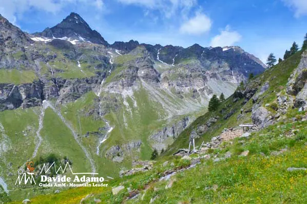 Alpe Ventina