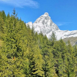 Alla partenza nel bosco