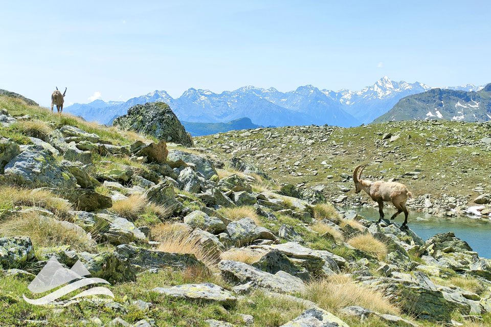 Bivacco Reboulaz trekking