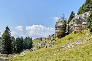 Asiago