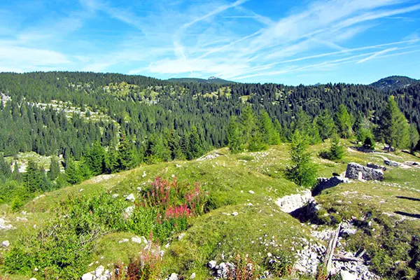 Paesaggio al Monte Zebio
