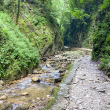 Le gole dell'Infernaccio