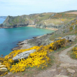 Nel sud del Devon