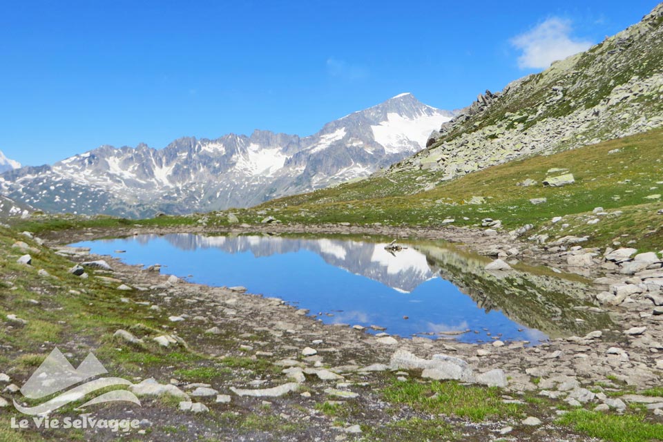 Laghi gottardo Orsiora