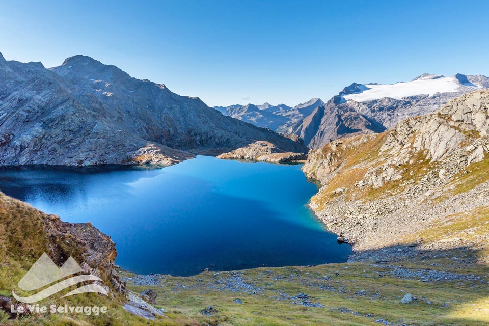 Capanna Cristallina e basodino