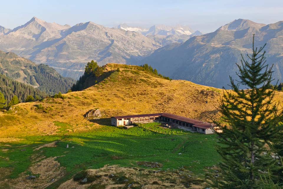 Escursione autunnale ad anello alla Garzonera con pastasciutta