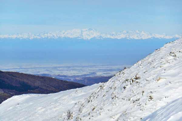 Chiappo vista