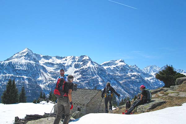 03 Genuina Alpe
