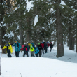Il Bel bosco iniziale
