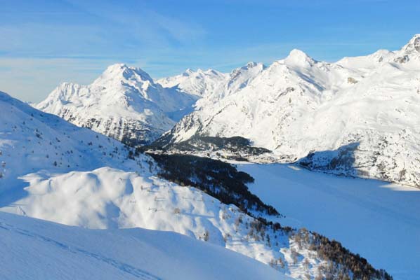Staldhorn Hopsche