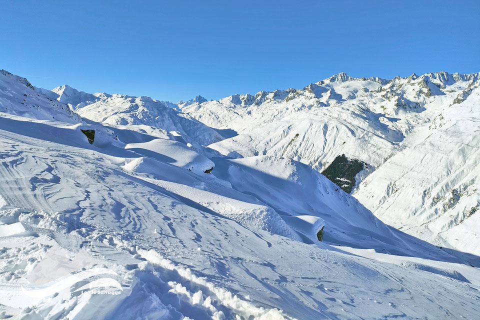 Ciaspolata alla Motta Caslasc in Svizzera